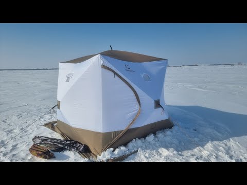 Видео: Попали на раздачу СУДАКА (Вячеславское Водохранилище)Март 2025г.