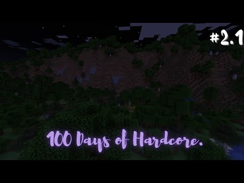 Видео: Тихий стрим: 100 ДНЕЙ ХАРДКОРА, ПОПЫТКА №2  _Minecraft_ #2.1 Смерть (8 дней)