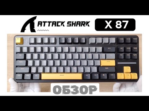 Видео: ATTACK SHARK X87 ОБЗОР | МЕХАНИЧЕСКАЯ TKL-КЛАВИАТУРА С RGB И GASKET MOUNT | GAMING KEYBOARD | ГАЙД