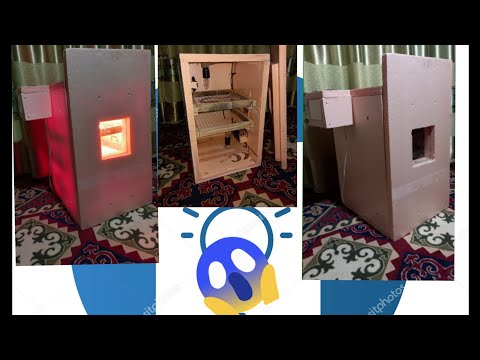 Видео: Инкубатор аппарат , эми сизда жасай алас .