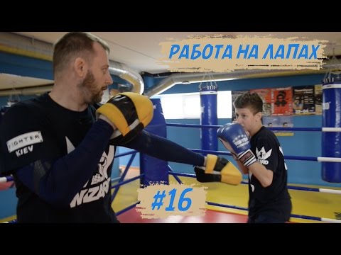 Видео: 16TV - Работа на лапах
