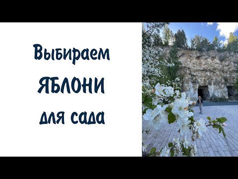 Видео: Выбираем яблони для сада