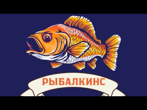 Видео: Ловим Рыбу в КРАСИВОМ МЕСТЕ #рыбалка #рыбалканафидер #фидер 