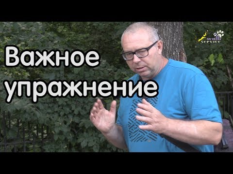 Видео: Объяснение -- связь держания палочки и коррекции поведения
