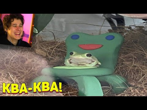 Видео: 7 МИНУТ СМЕХА | ЛУЧШИЕ ПРИКОЛЫ МАРТ 2021 ПОПРОБУЙ ЗАСМЕЯТЬСЯ ЧЕЛЛЕНДЖ ЗАСМЕЯЛСЯ ПРОИГРАЛ