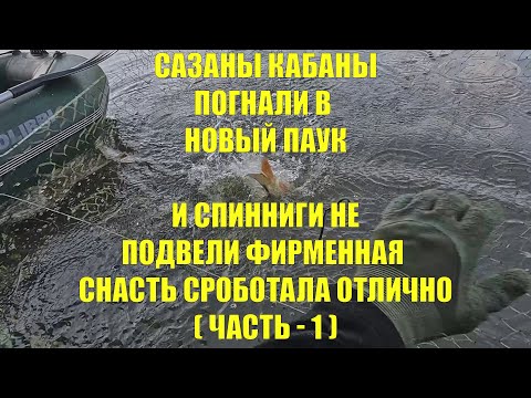 Видео: ПРИМАНИЛ ГОРОХОМ И САЗАН ПОШЕЛ В ПАУК! А ПОТОМ И СПИНИННГИ РОБОТАЛИ НА КАШУ СУПЕР! ПАУК + СПИННИНГ!