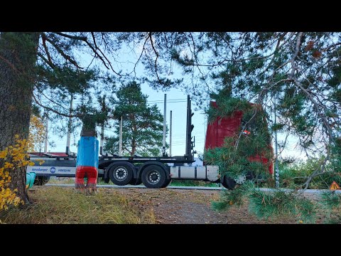 Видео: На ЧИЛЛЕ на РАССЛАБОНЕ.. Финансовая грамотность..