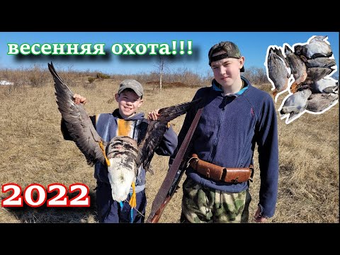 Видео: вот это поохотились!!! парни в восторге!!! весенняя охота 2022! весновка 2022!! hunting 2022
