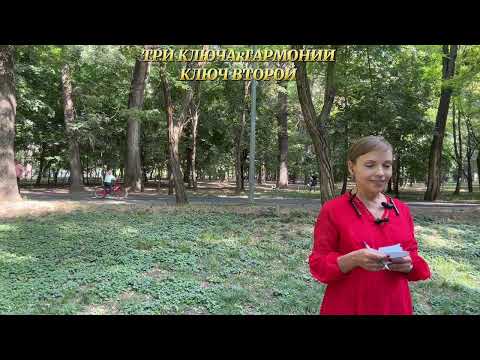Видео: Живая расстановка: страх масштабирования и боль утраты бизнеса