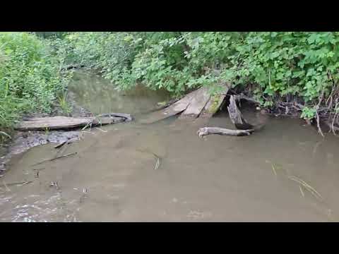 Видео: Решил начать искать в водоемах: приобрел скуп.