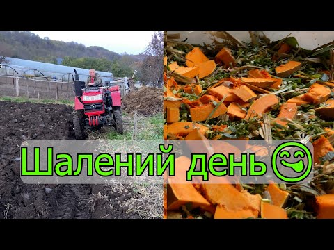 Видео: Силос із кукурудзи із гарбузом (вітамінний корм). Оранка городу Shifeng SF-354. #ІванКо, @ІванКОміх