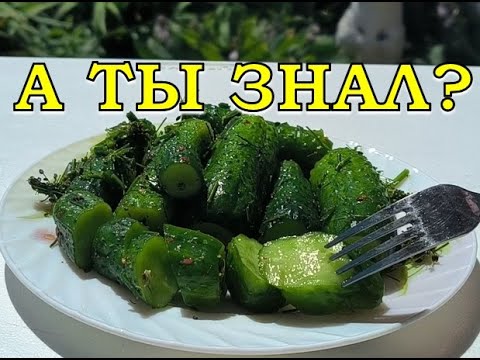 Видео: Малосольные ОГУРЦЫ в пакете: самый быстрый и вкусный способ🥒🥒🥒