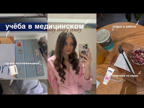 Видео: учебная неделя на 2 курсе стомата|учёба в медицинском|рассказ про работу|зачётная неделя🦷