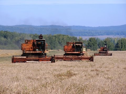 Видео: Combines DON-1500A and 1500B /// Комбайны ДОН-1500А и 1500Б
