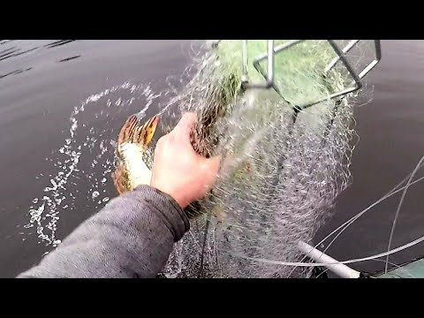 Видео: ЭТА СНАСТЬ ловит ЛЮБУЮ РЫБУ. ХАПУГА - хлопок сезон открыт. Как ловить снасть хапуга.
