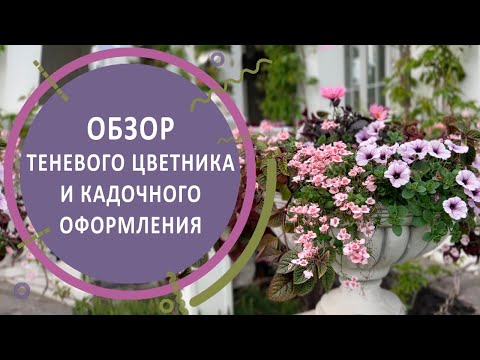 Видео: Обзор теневого цветника и кадочного оформления