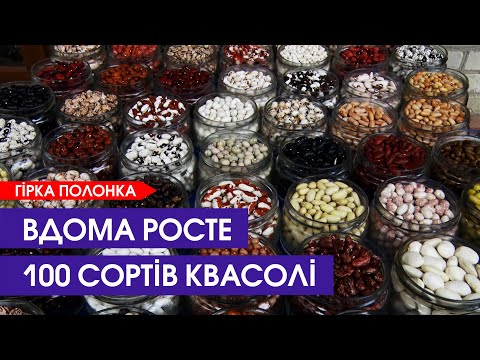 Видео: 😲Квасоля, як зуби коня. Фермерка з Волині вирощує понад 100 сортів бобових