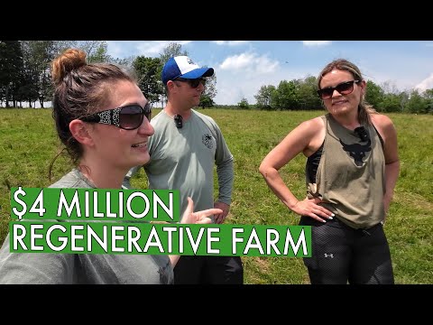 Видео: От жизни в большом городе до многомиллионной регенеративной фермы (Freedom Farms)