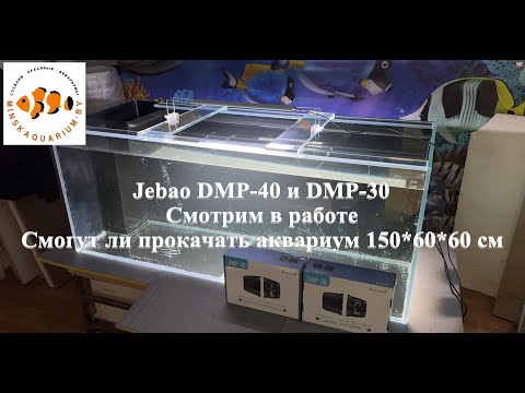 Видео: Помпы течения Jebao DMP-40 и DMP-30. Проверяем что могут.