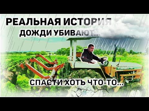 Видео: Жажда успеха: спасти урожай в суровых условиях
