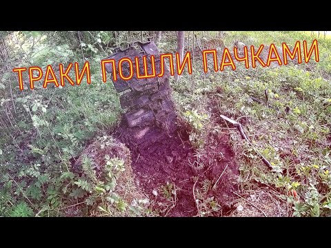 Видео: ТРАКИ ПОШЛИ ПАЧКАМИ. ТОПОВЫЙ КОП. ТАКОГО ЕЩЁ НЕ БЫЛО.