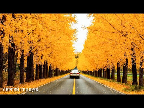 Видео: ВОССТАНОВЛЕНИЕ НЕРВНОЙ СИСТЕМЫ - ОСЕНЬ - ТАКОЙ МУЗЫКИ ТЫ ЕЩЕ НЕ СЛЫШАЛ! Музыка Для Души#relaxmusic