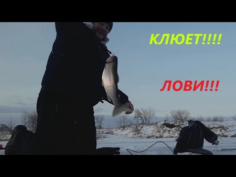 Видео: Зимняя рыбалка в Канаде.Пайлот Маунд,Манитоба.Goudney Reservoir,Pilot Mound,Manitoba ice fishing.