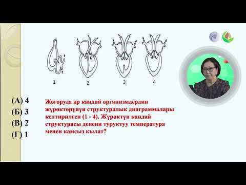 Видео: Биология 6 сабак