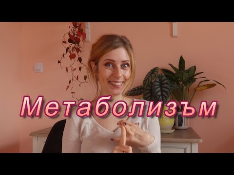 Видео: Съвети за БЪРЗ Метаболизъм и отслабване│ Науката в храненето #3