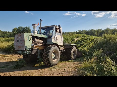 Видео: Кормозаготовка в САМОМ РАЗГАРЕ - ТОЛЬКО ВПЕРЕД! Заехал на День Поля. За Русь !