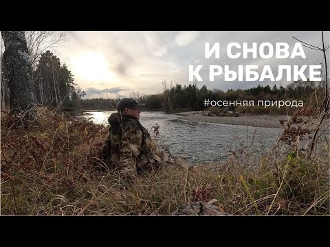 Видео: Один на таёжной реке. Мишу не встретил, уже хорошо😁[4K]