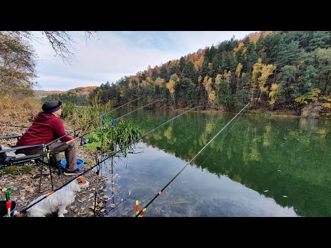 Видео: ЗАКРЫТИЕ СЕЗОНА ФИДЕРА НА РЕКЕ СЕВЕРСКИЙ ДОНЕЦ. ПОСЛЕДНИЕ ТЕПЛЫЕ ДЕНЬКИ. ОТДЫХ С СЕМЬЕЙ