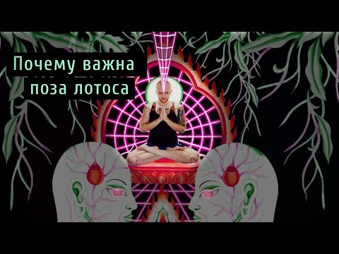 Видео: ПОЗА ЛОТОСА, ПАДМАСАНА. ПОЧЕМУ БЕЗ НЕЁ НИКАК.