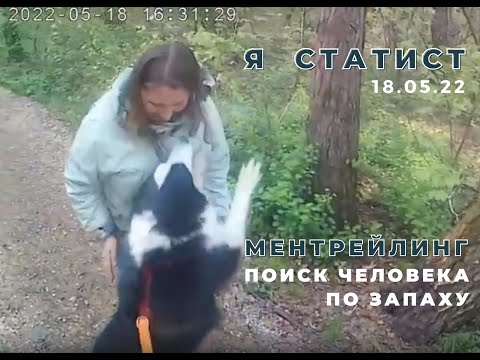 Видео: Я статист / ментрейлинг / поиск человека по запаху