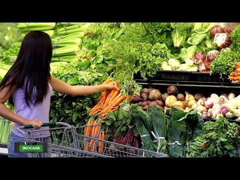 Видео: Генетикалық түрлендірілген тағамдар зиянды ма? | Экосана