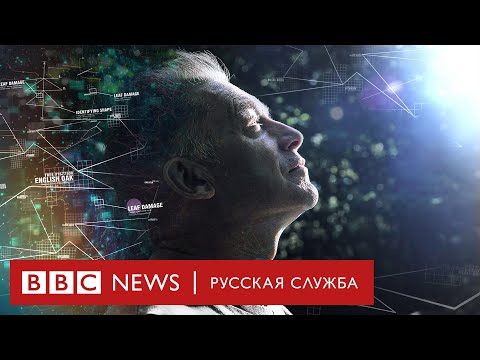 Видео: Внутренний мир аутичных людей: как работает их мозг и психика | Документальный фильм Би-би-си