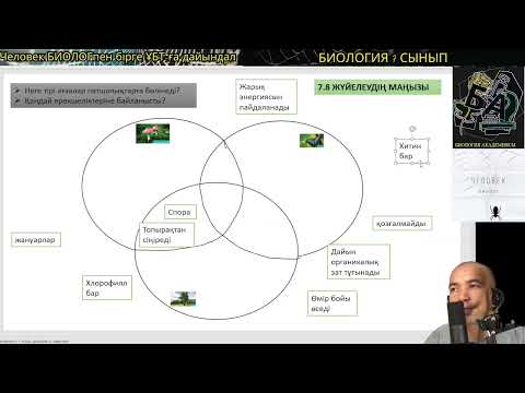 Видео: 7.8. Тірі ағзалар неге патшалықтарға жіктелінеді? #биология #7сыныпбиология #ұбтбиология #ұбт