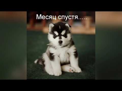 Видео: 3 серия. Эльза или Рапунцель.