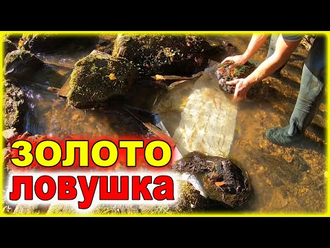 Видео: Самодельная ЛОВУШКА для ЗОЛОТА на дне реки