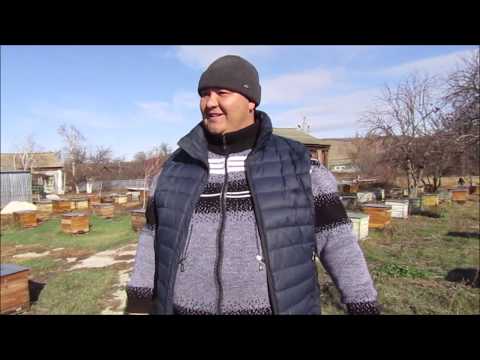 Видео: Наш омшаник (зимовник).