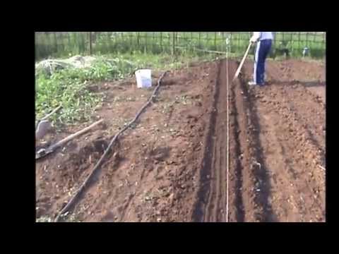 Видео: Увеличение плодородия почвы с минимальными материальными затратами на грядках по Миттлайдеру