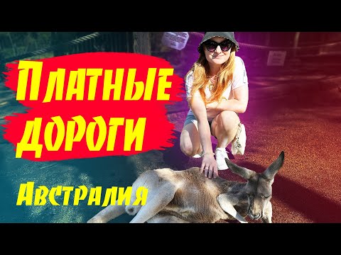 Видео: # 04 Влог - Платные дороги / Парки / Приехал наш контейнер / Австралия