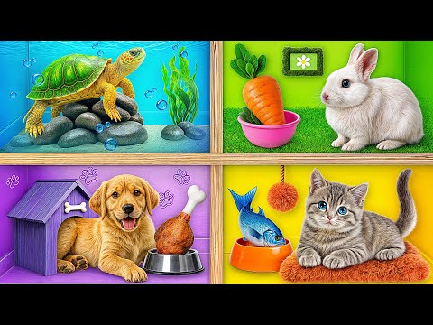 Видео: Строим Домики для Животных | Смешные Cитуации c Super Hyper DO