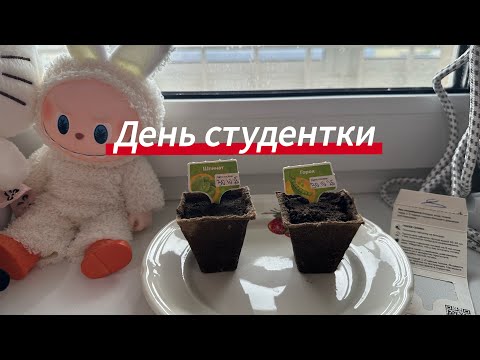 Видео: будни студентки психолога/ зож день