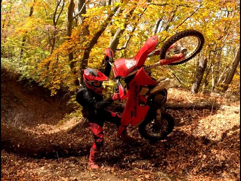 Видео: Без път, без правила – само газ! 🏁