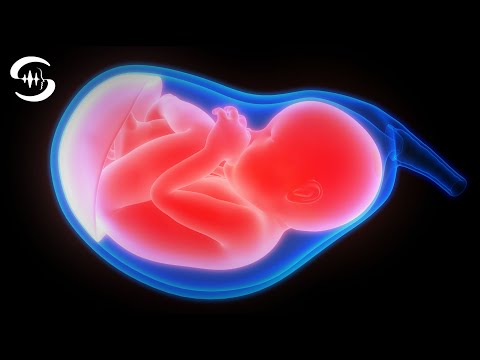 Видео: Остаться молодым навсегда (частота) - регенерировать теломеры Музыка (регенерация клеток) ♫