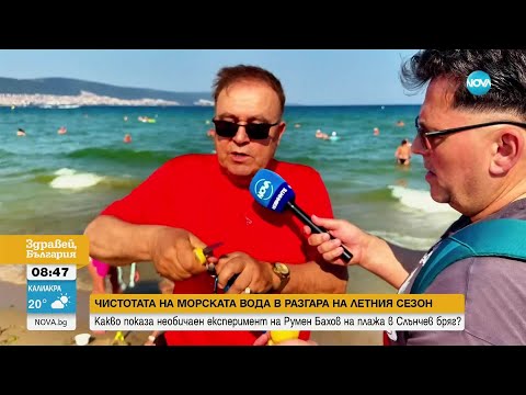 Видео: Черно море чисто, туристите – объркани: Кой плаши летовниците със „зелена заплаха“?