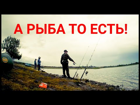 Видео: Рыбалка. Кто бы мог подумать что будет так!