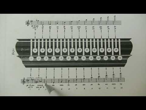 Видео: Разбор мелодии по цифрам,не зная нот... на гармони.