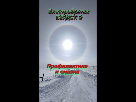 Видео: Электробритва БЕРДСК 9.Профилактика и смазка.